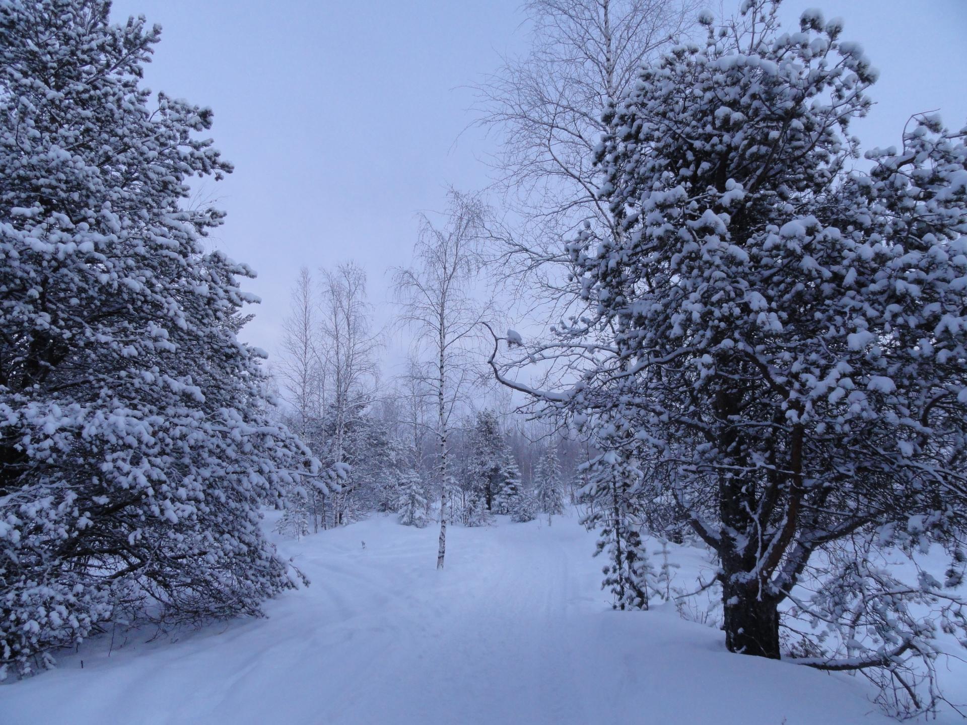 Finlande 2014